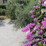 Διαμέρισμα Garda Renovated
