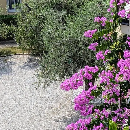 Apartman Garda Renovated