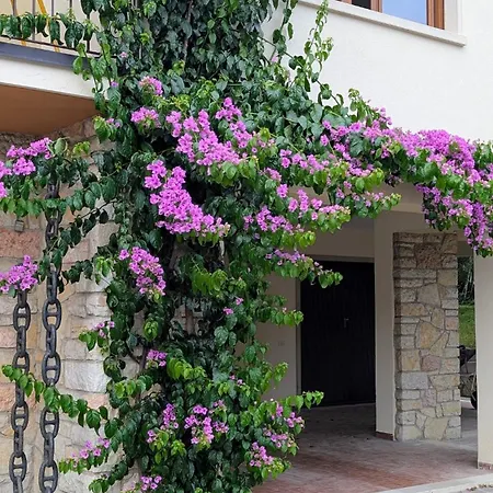 Garda Renovated Διαμέρισμα